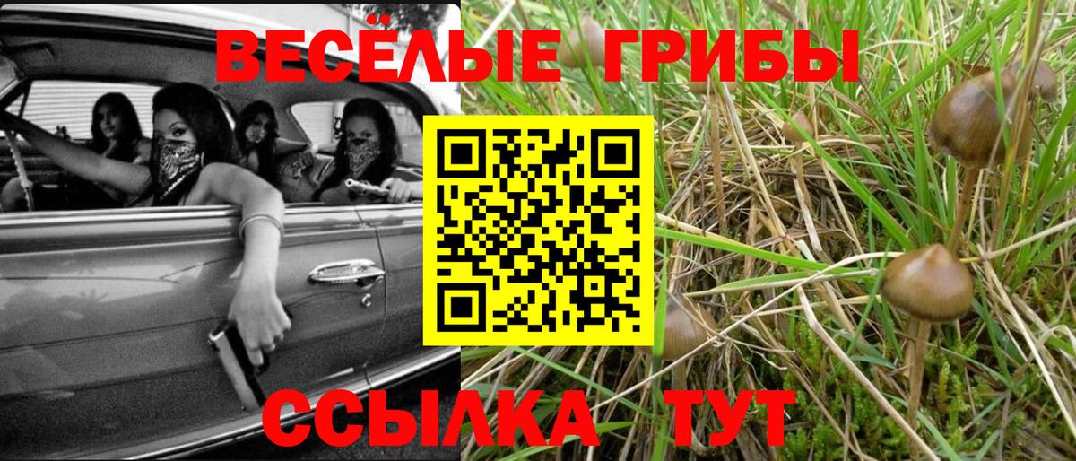 Галлюциногенные грибы MAGIC MUSHROOMS Котельники