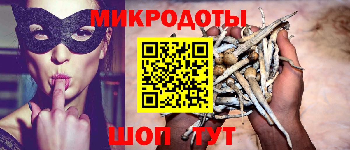 Галлюциногенные грибы Cubensis  купить наркоту  Котельники  Вход с VPN 